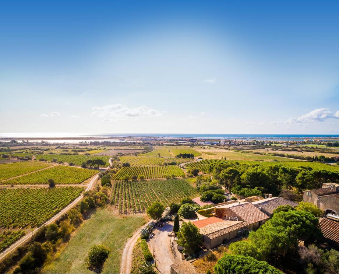 Chateau Le Bouis 格吕桑 外观 照片